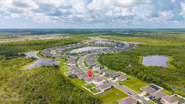 2714 Neverland Dr, New Smyrna Beach, FL 32168 - aerial perspective of suburban area featuring a large body of water and a forest