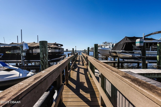 dock area with a water view