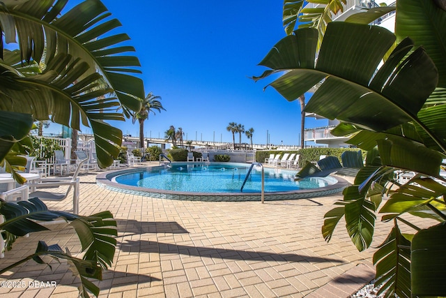 view of swimming pool featuring a patio area