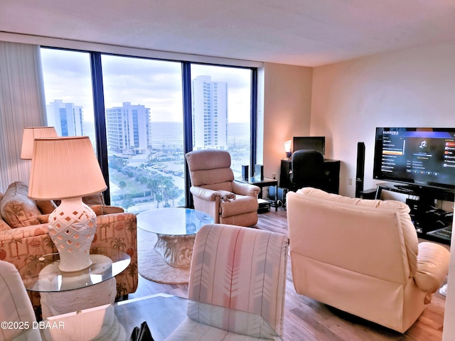 living area with expansive windows and wood finished floors