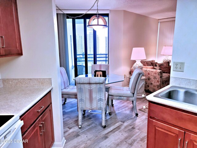 dining space with light wood finished floors