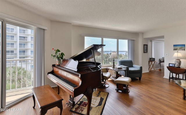 misc room featuring a textured ceiling and hardwood / wood-style flooring