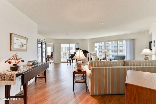 living room featuring hardwood / wood-style floors and a textured ceiling