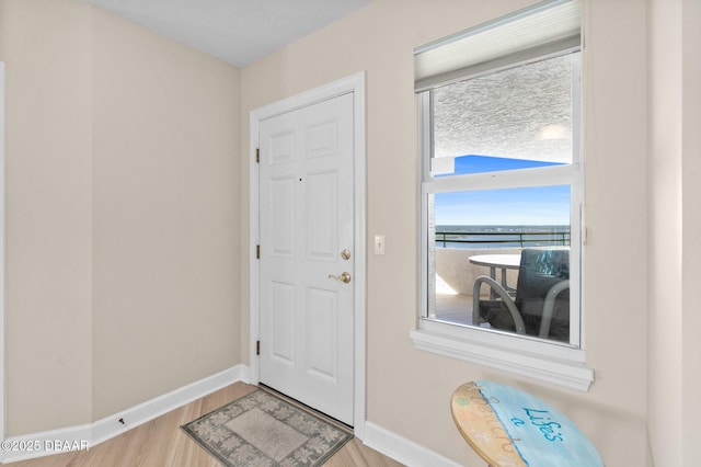 entryway with a water view and light hardwood / wood-style flooring