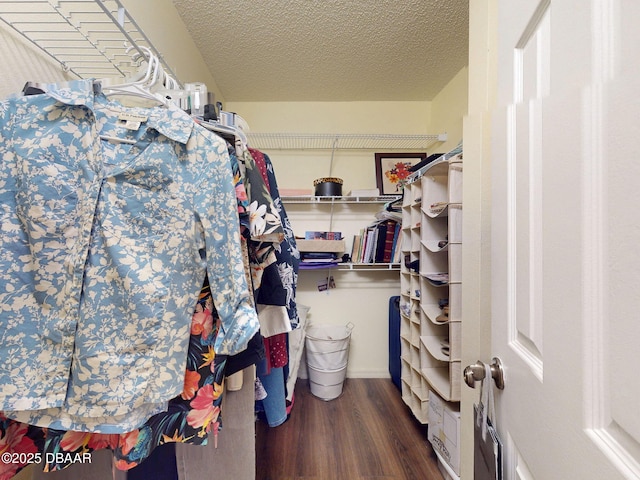 686 Middlebury Loop, New Smyrna Beach, FL 32168 - spacious closet with wood finished floors