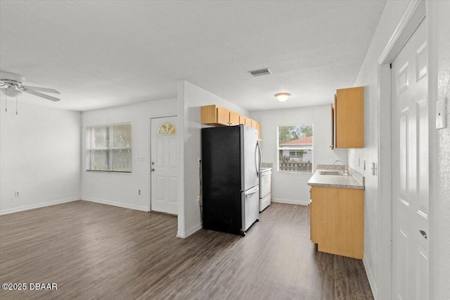 kitchen featuring a sink, open floor plan, light countertops, freestanding refrigerator, and dark wood-style floors