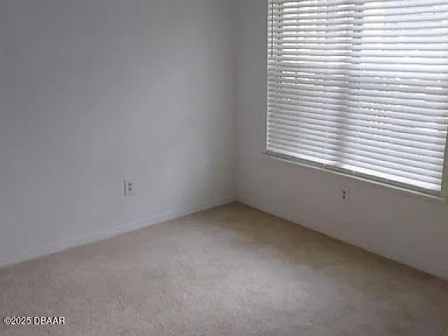 spare room with light carpet