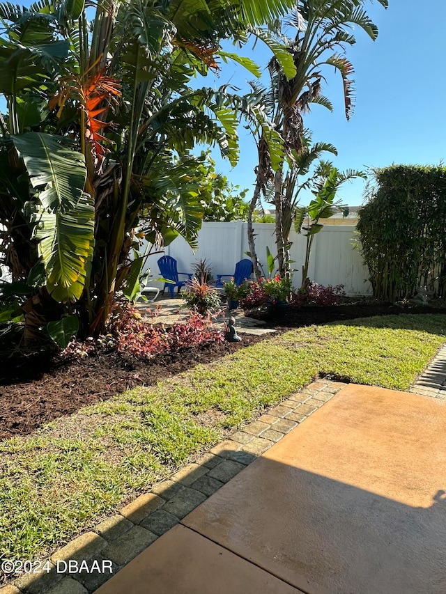 view of yard featuring a patio