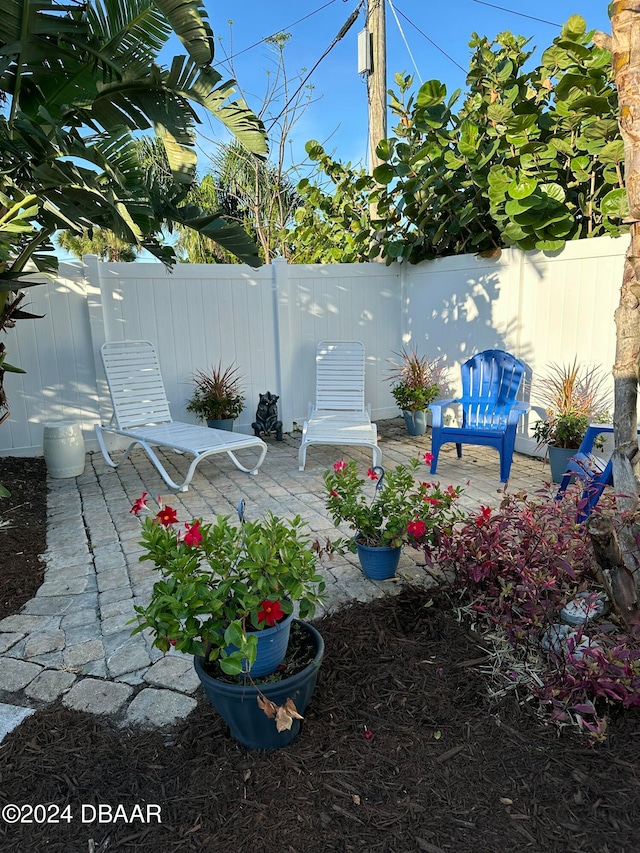 view of yard featuring a patio