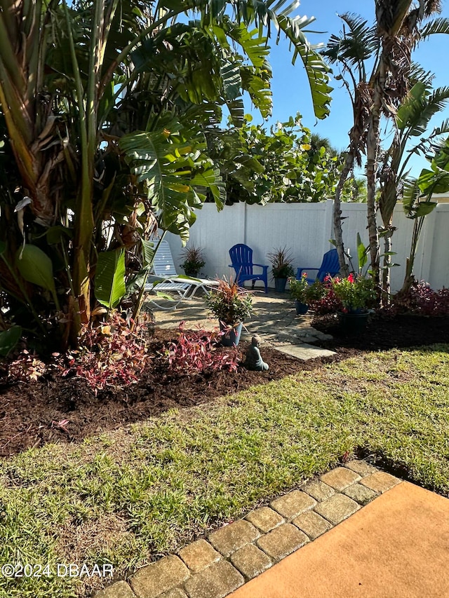 view of yard with a patio