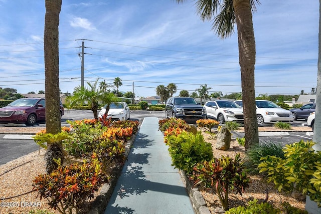 view of asphalt road