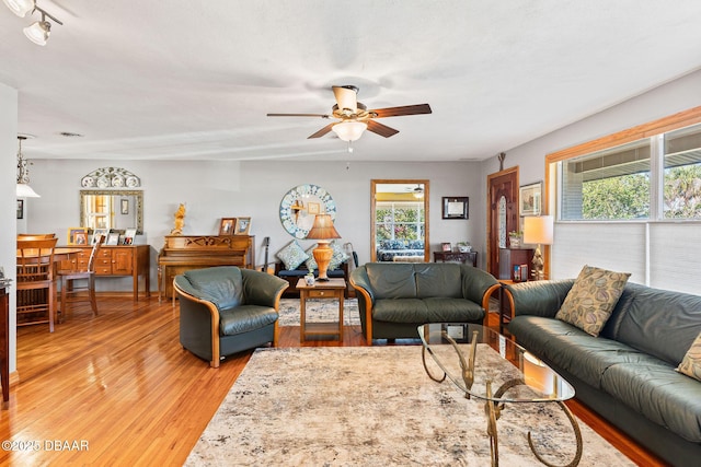 living room featuring ceiling fan and light hardwood / wood-style flooring