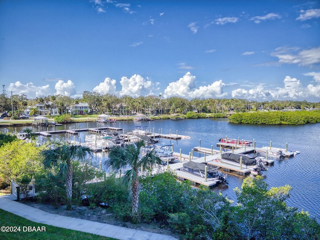 water view with a dock