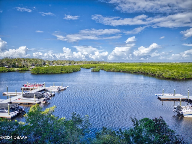 dock area with a water view