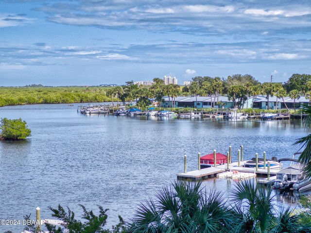 water view featuring a boat dock