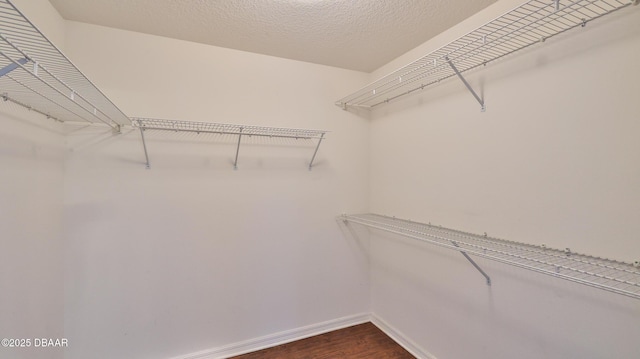 walk in closet featuring dark hardwood / wood-style flooring