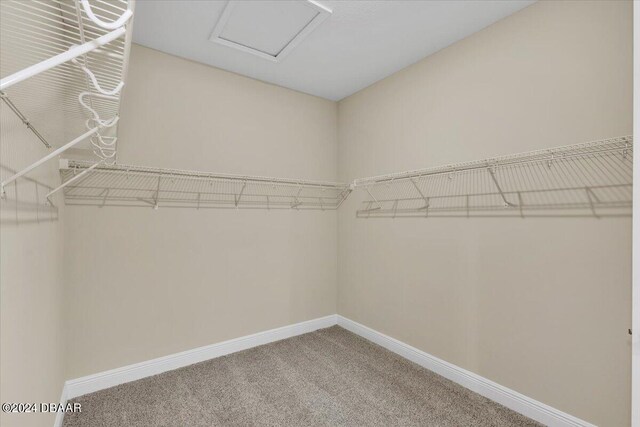 3116 Legends Preserve Dr, Daytona Beach, FL 32124 - walk in closet with light carpet and attic access