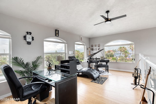 office area featuring ceiling fan and light hardwood / wood-style floors