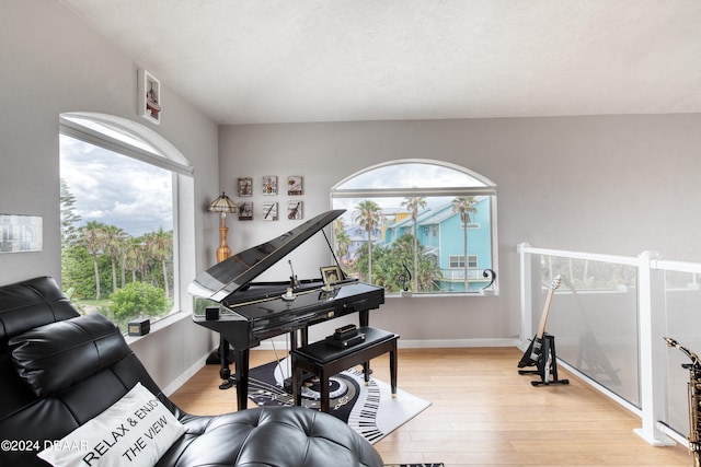 living area with light hardwood / wood-style floors