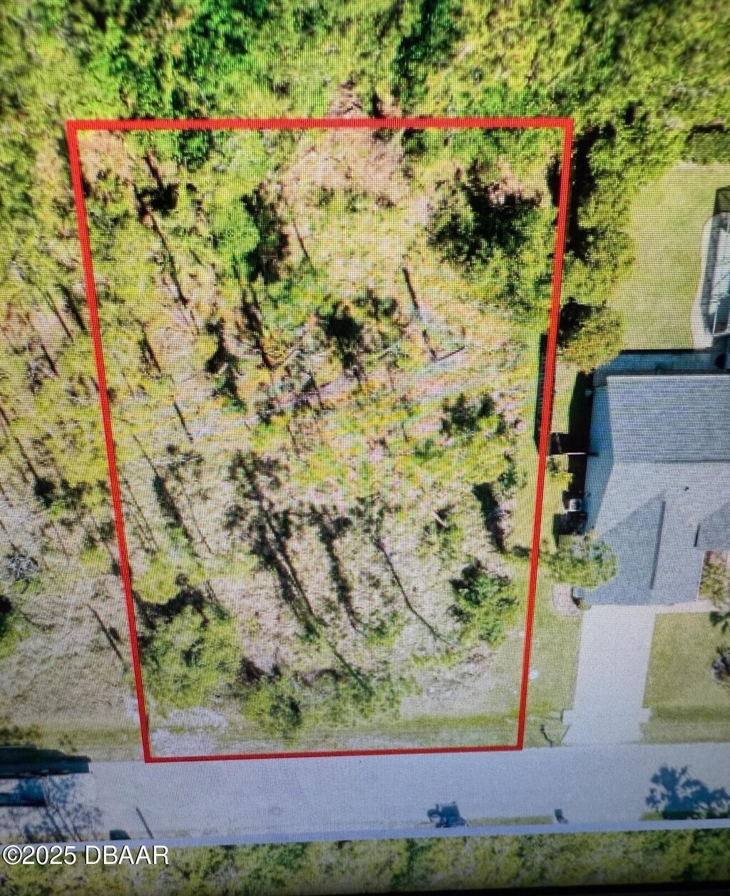 39 Kashmir Trl, Palm Coast, FL 32164 - photo 3