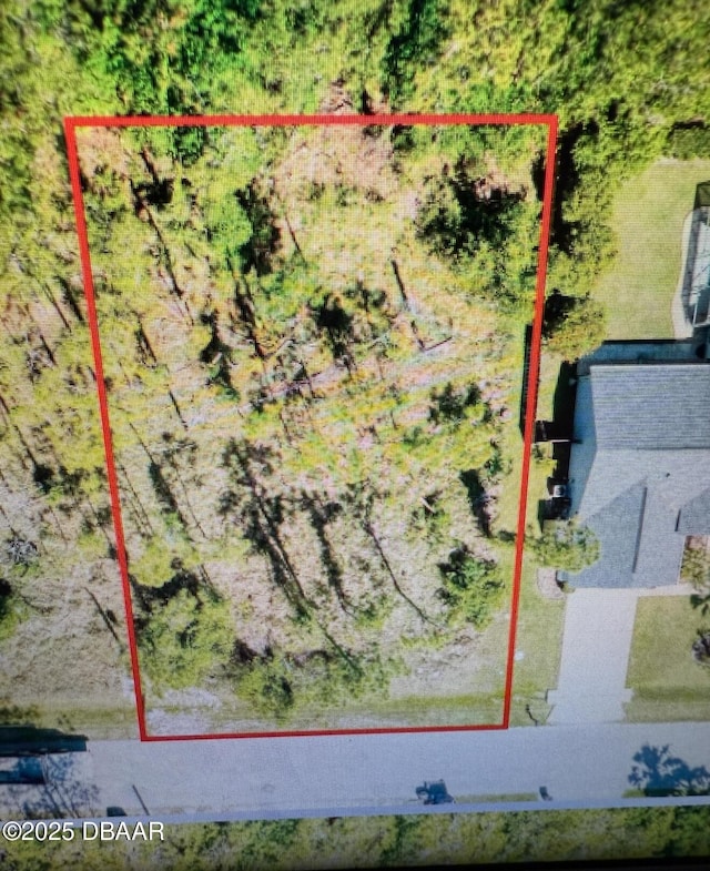 39 Kashmir Trl, Palm Coast, FL 32164 - photo 3