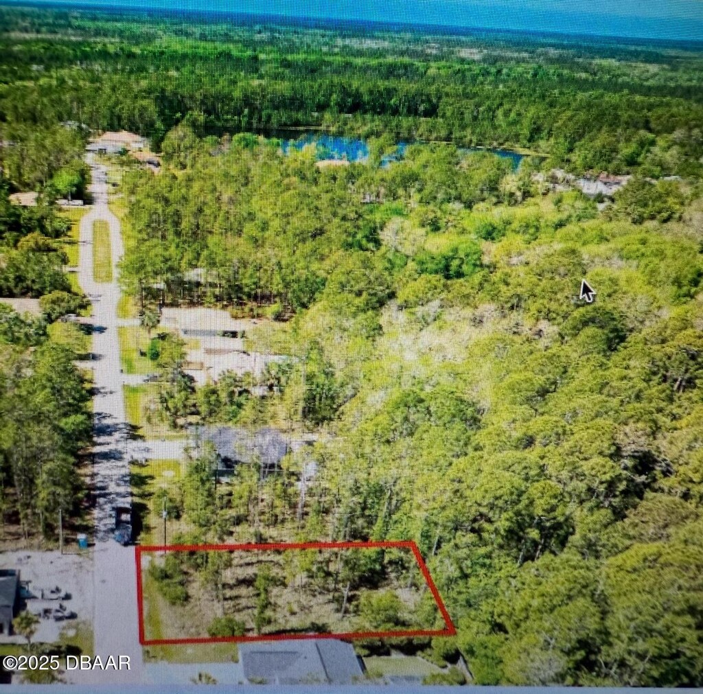 39 Kashmir Trl, Palm Coast, FL 32164 - photo 1