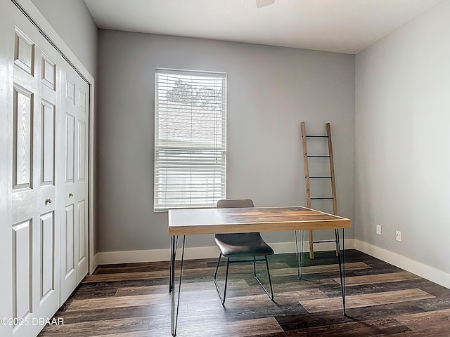 4225 Bristle Cone Way, Port Orange, FL 32129 - office space with dark wood-type flooring