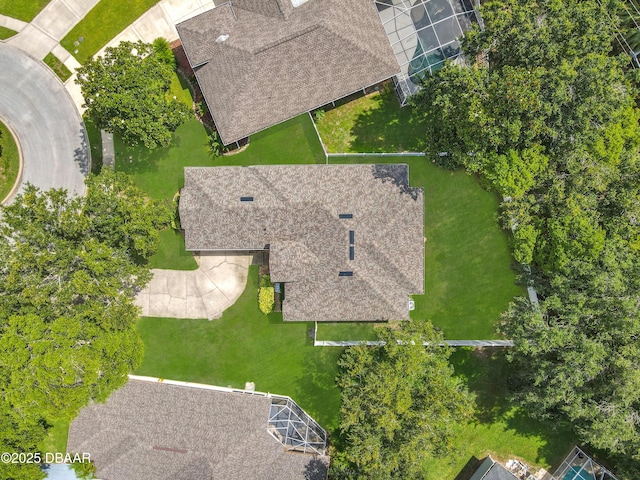 4225 Bristle Cone Way, Port Orange, FL 32129 - view from above of property