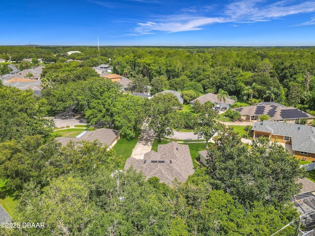 4225 Bristle Cone Way, Port Orange, FL 32129 - aerial view of residential area featuring a forest