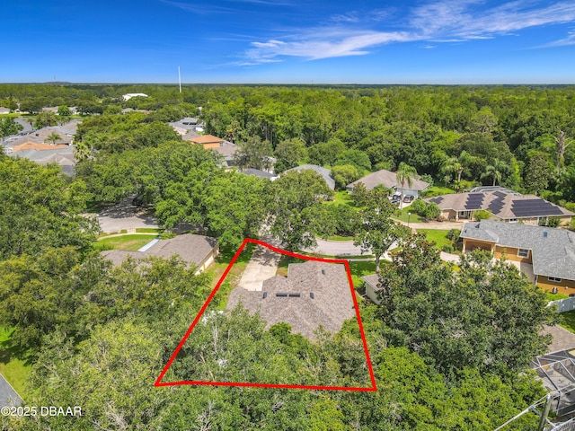 4225 Bristle Cone Way, Port Orange, FL 32129 - aerial perspective of suburban area featuring a heavily wooded area and property boundaries highlighted