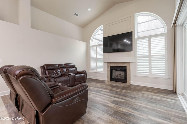 living room with lofted ceiling and wood-type flooring