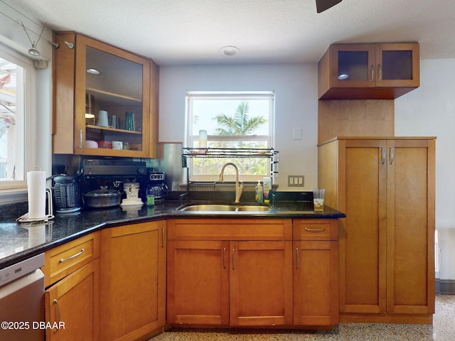 650 S Pine St, New Smyrna Beach, FL 32169 - kitchen with stainless steel dishwasher, a sink, a wealth of natural light, and glass insert cabinets