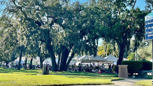 view of property's community with a yard