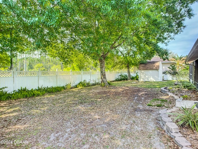 view of yard featuring a shed