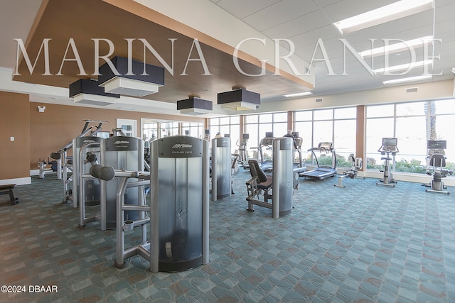 exercise room featuring carpet floors