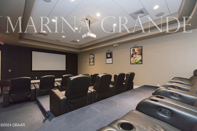 cinema room with a raised ceiling