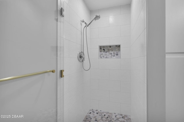 bathroom featuring a shower with shower door