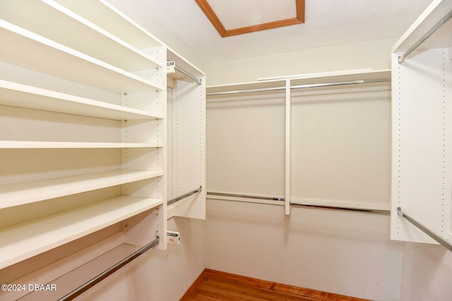 walk in closet with wood-type flooring