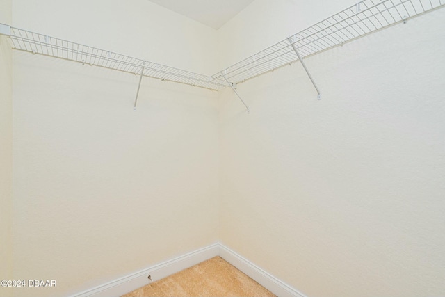 walk in closet featuring carpet