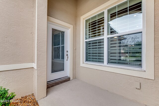 3242 Bailey Ann Dr, Ormond Beach, FL 32174 - photo 5