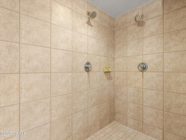 2403 S Atlantic Ave Unit 410, Daytona Beach, FL 32118 - full bathroom featuring a tile shower