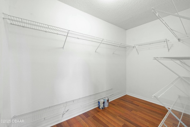 spacious closet featuring hardwood / wood-style flooring