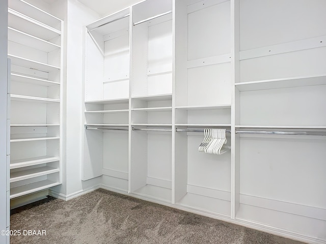 spacious closet with carpet flooring