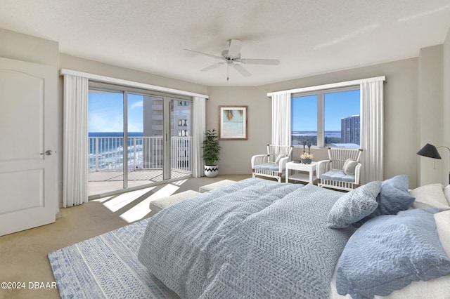 bedroom with access to outside, multiple windows, and a textured ceiling