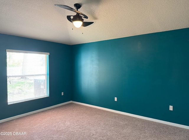 465 Dahoon Holly Dr, Daytona Beach, FL 32117 - photo 13