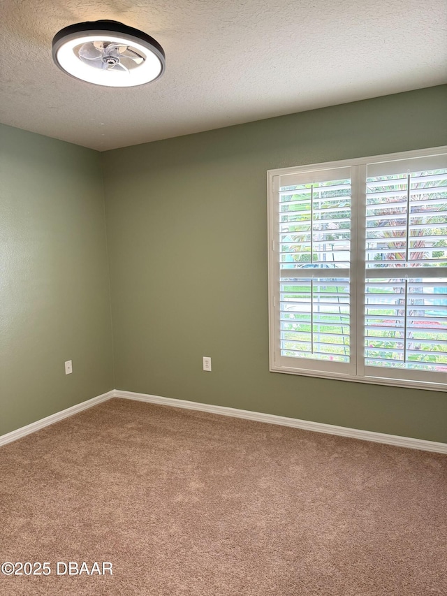 465 Dahoon Holly Dr, Daytona Beach, FL 32117 - photo 11