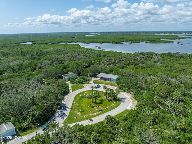 3824 Saxon Dr, New Smyrna Beach, FL 32169 - aerial view of property's location featuring a large body of water and a heavily wooded area