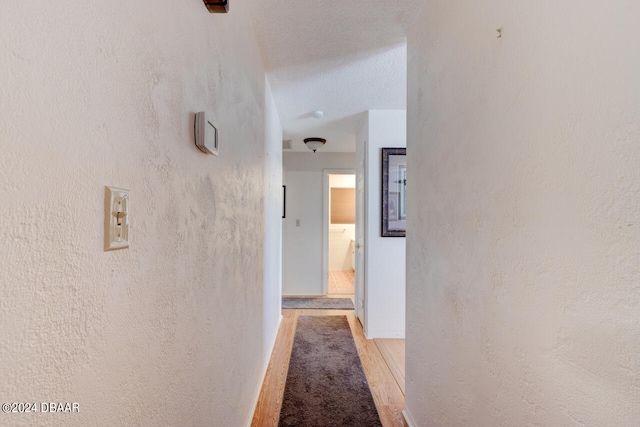 hallway with a textured ceiling and light hardwood / wood-style flooring