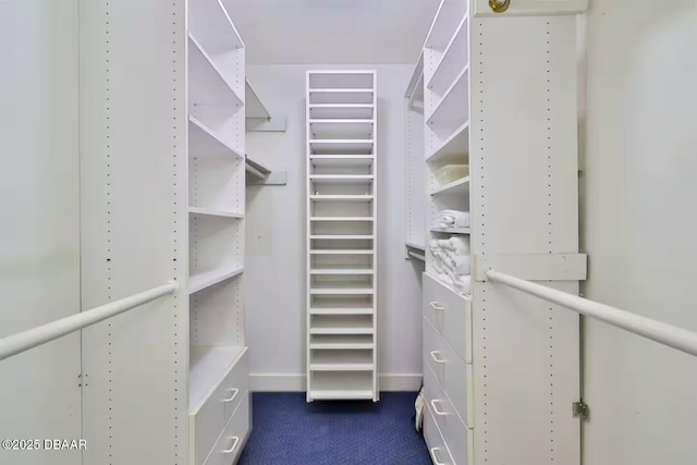 21951 Tarragona Way, Astor, FL 32102 - walk in closet with dark carpet