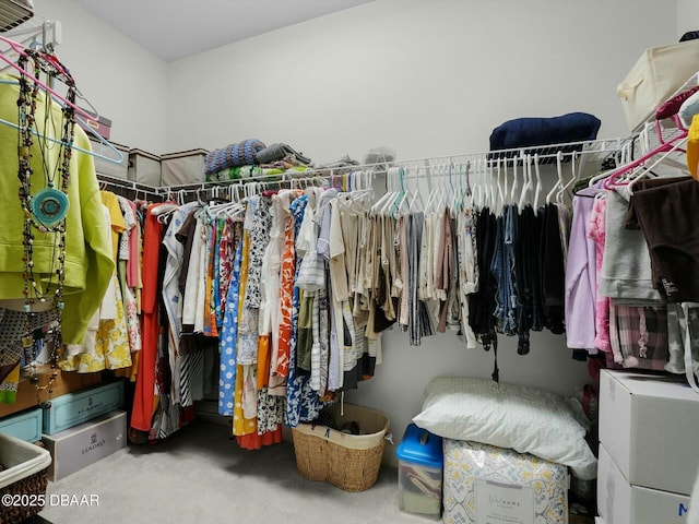 walk in closet featuring carpet flooring